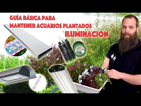 Guía completa para informar incidencias relacionadas con la iluminación