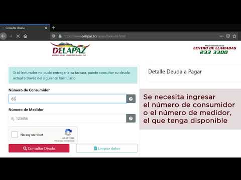 Cómo verificar la existencia de adeudos en tu recibo de luz: Guía informativa completa.