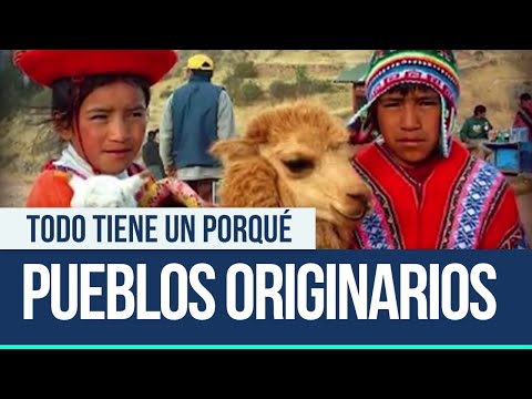 El término correcto para referirse a un aprendiz de marinero es grumete.