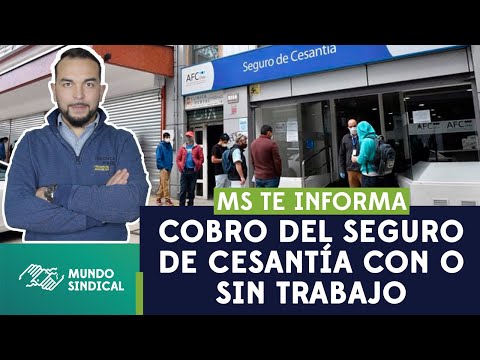 ¿Cuáles son las causas para perder el Seguro de Cesantía?