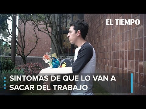 Identificando las señales de que se acerca un despido laboral