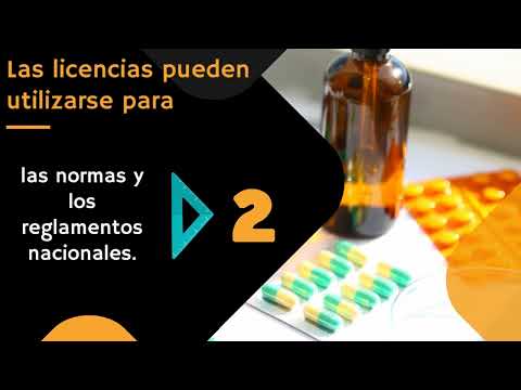 Guía completa para obtener la licencia de importador en Ecuador