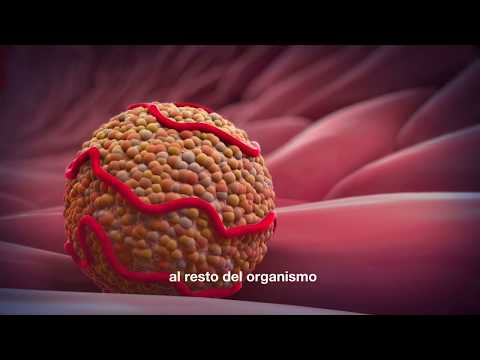 Asignación de Números de Placas: Proceso y Procedimientos