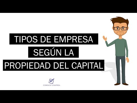 Clasificación de las empresas según su propiedad: una guía detallada