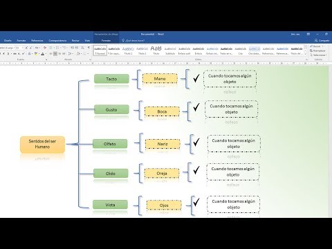 División de un Cuadro Sinóptico: Pasos y Proceso