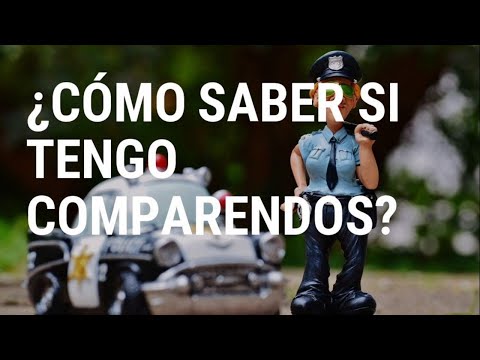 Identificación de Multas: Cómo Determinar si una Persona tiene Infracciones