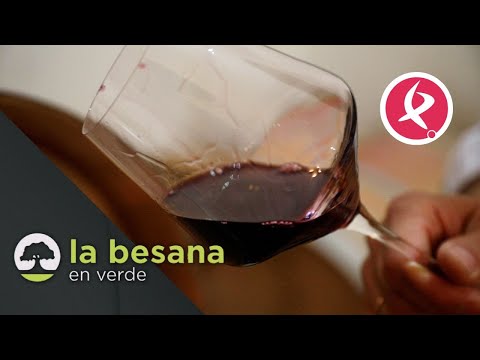 Descubriendo la Denominación de Origen de los vinos de Extremadura