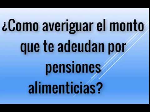 Entendiendo el Código Supa: ¿Cómo determinar mi deuda actual?