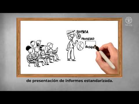 Clasificación de los recursos forestales: Una guía detallada para comprender su diversidad y usos