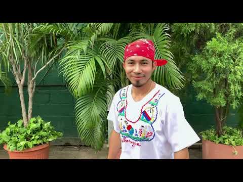 Los Distintivos Atuendos de la Danza: Un Vistazo a los Trajes de Baile