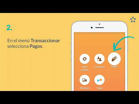 Guía detallada sobre cómo pagar la factura de luz mediante transferencia electrónica