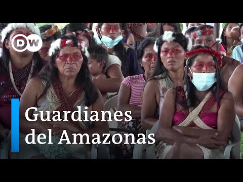 El tratamiento de los indígenas en Ecuador: un análisis en profundidad.