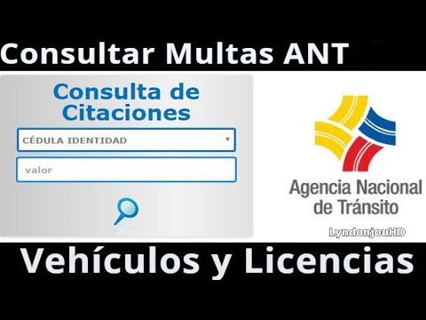 Consultar partes de tránsito: Guía completa y detallada