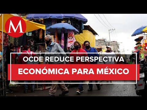 El Municipio más Próspero de Hidalgo: Análisis y Perspectivas Económicas.