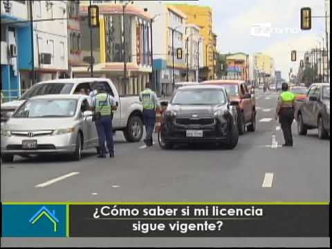 Determinando el estado de tu licencia: ¿Anulada o vigente?