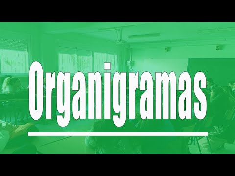 La Distribución de un Organigrama: Una Guía Completa para su Implementación Eficiente