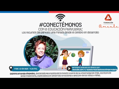 La división de recursos: una mirada detallada a su distribución eficiente
