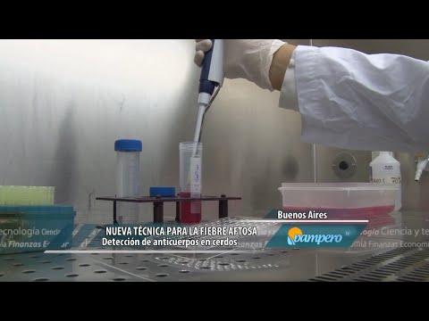 La fiebre aftosa en bovinos: tratamiento y curación eficaz