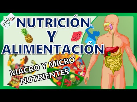 La Nutrición en los Manglares: Un Vistazo a su Alimentación y Sustento.