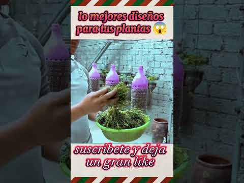 El recipiente elegante que alberga las flores: un vistazo a su nombre