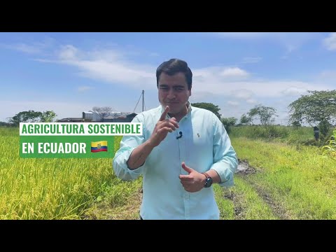 El Ministerio de Agricultura en Ecuador: Un pilar fundamental para el desarrollo agropecuario