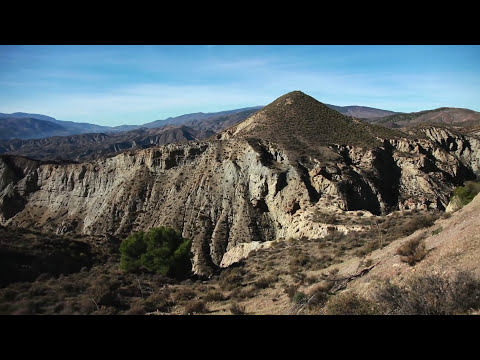 La Carrera Profesional de Forestal: Un Vínculo Indispensable con la Naturaleza
