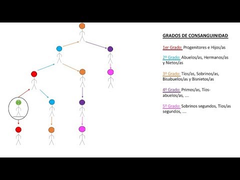 Determinando el Grado de Afinidad: Un Análisis Completo