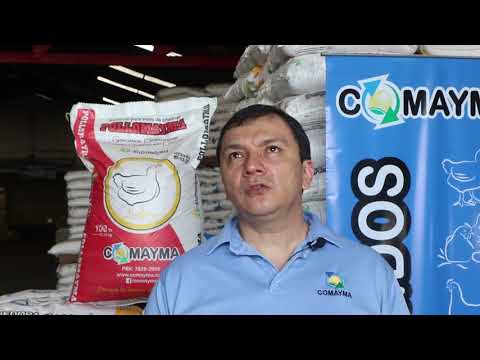 El estado actual de la industria de alimentos en Guatemala
