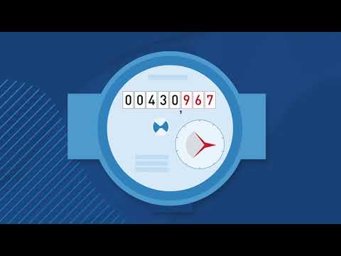 Guía para consultar el saldo de Sapal: Pasos sencillos y rápidos para conocer tu balance