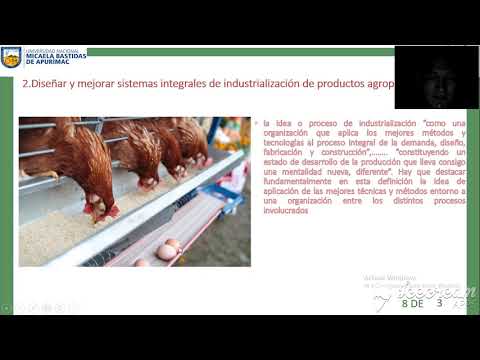 El perfil profesional del ingeniero agroindustrial: un análisis detallado.