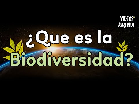 La clasificación de la biodiversidad en el Ecuador: Una mirada detallada y completa