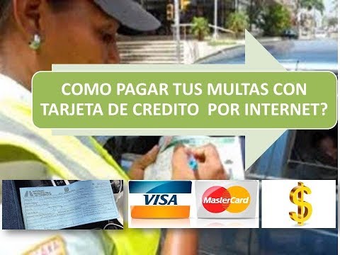 Pagos de multas por falta de matrícula: Guía informativa y detallada.