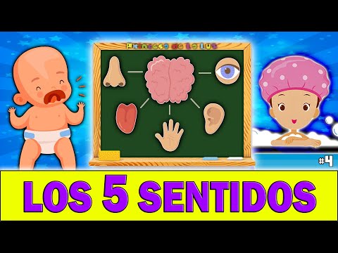 La experiencia de juego que estimula los sentidos: ¿Cuál es el juego que se siente?