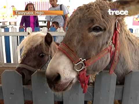 El Parque de Tizayuca: Un Destino Natural en Hidalgo