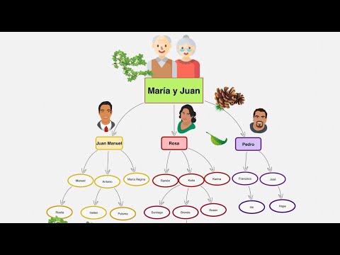 El Orden de Parentesco: El Primer Grado de Consanguinidad Explorado