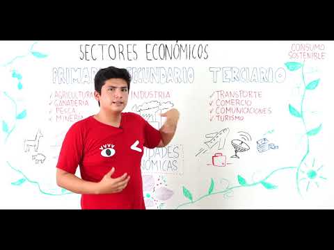 El principal sector económico del Ecuador: una visión detallada y analítica.