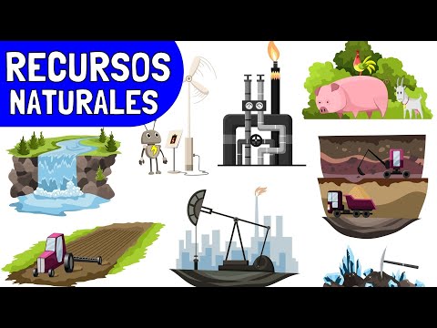 Definición y clasificación de los recursos naturales: una guía informativa sobre su importancia y tipos.