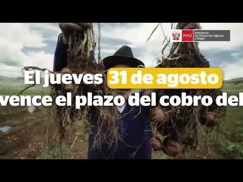 Guía paso a paso para registrarse y cobrar el bono gubernamental