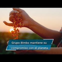 La estrategia de exportación implementada por Grupo Bimbo en la comercialización de sus productos