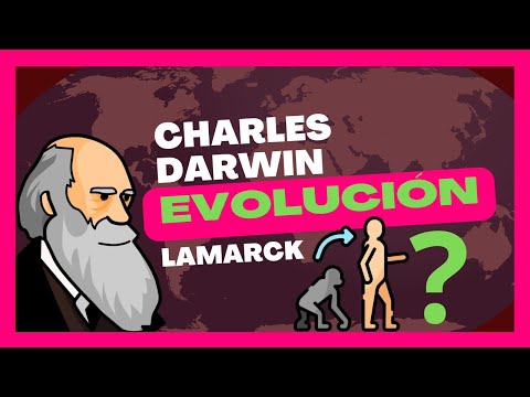 El Descubrimiento del Fósil más Trascendental de Darwin: Un Hito en la Teoría de la Evolución