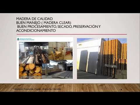 Cómo evaluar la calidad de la madera: una guía informativa y detallada