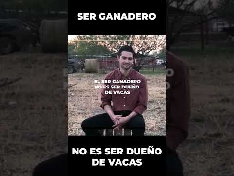 La campana que se pone a las vacas: Un accesorio clave en la ganadería