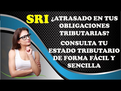 Guía detallada: Procedimiento para realizar el pago de la multa emitida por el Servicio de Rentas Internas (SRI)