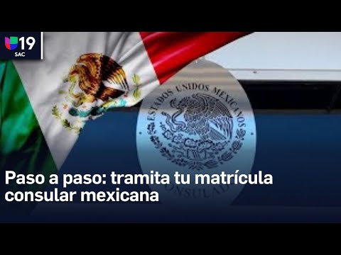 Guía completa sobre el proceso de obtención de la matrícula consular.