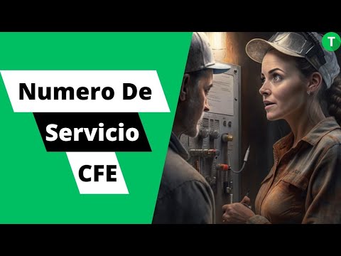 La importancia del número de contrato en el recibo de luz
