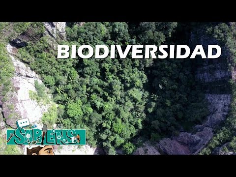 El segundo país más biodiverso: un tesoro natural por descubrir.