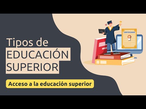 El término correcto para referirse al nivel de universidad es educación superior.