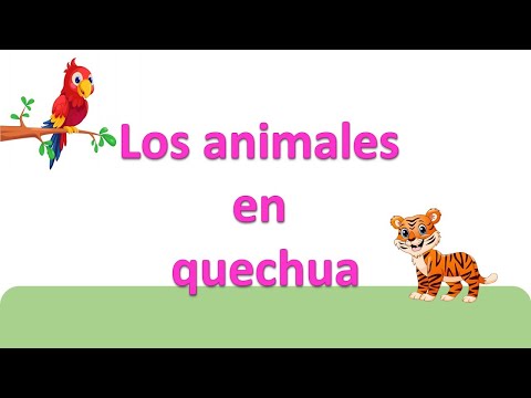 El nombre en quechua para perro
