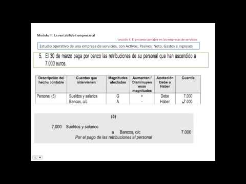 Guía detallada para la contabilidad de una empresa de servicios